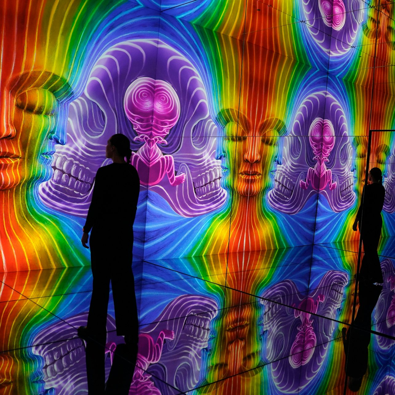 Illusionaries: Entry Ticket - Photo 1 of 5